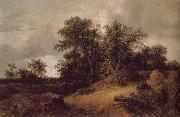 Jacob van Ruisdael, Dune Landfscape